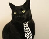 “青少年足球公益跑活动引领全民健身热潮”，足球公益活动标语