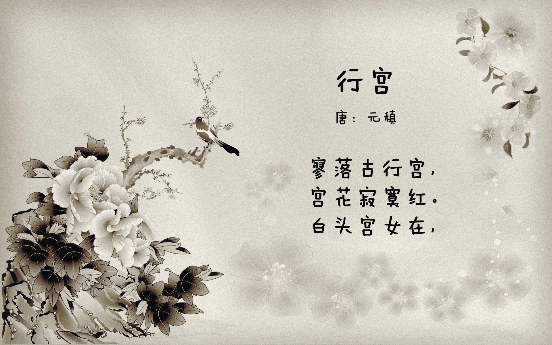 全国大学生篮球联赛圆满结束,冠军队伍备受关注,全国大学生篮球联赛是哪一年开始举办的