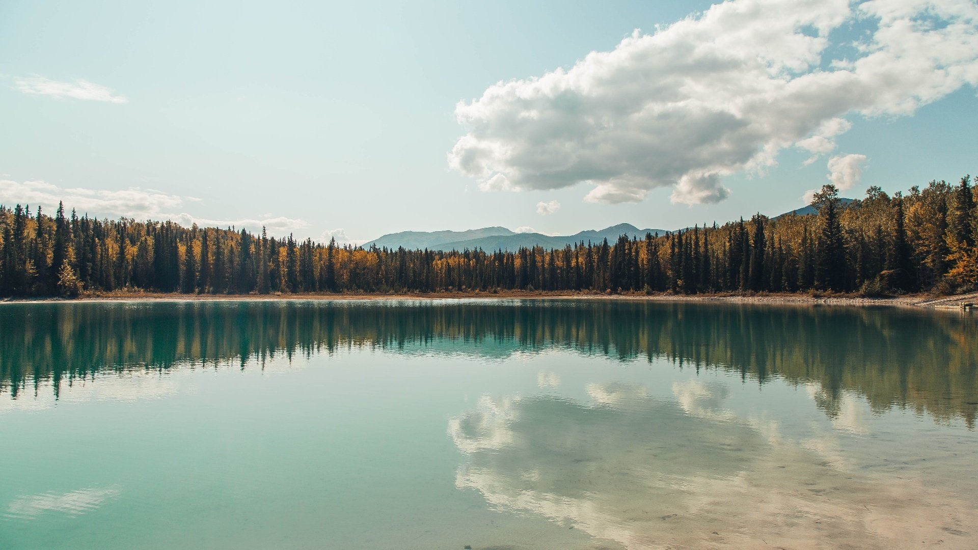 德甲媒体点赞本赛季表现出色的青训体系,德甲青训政策