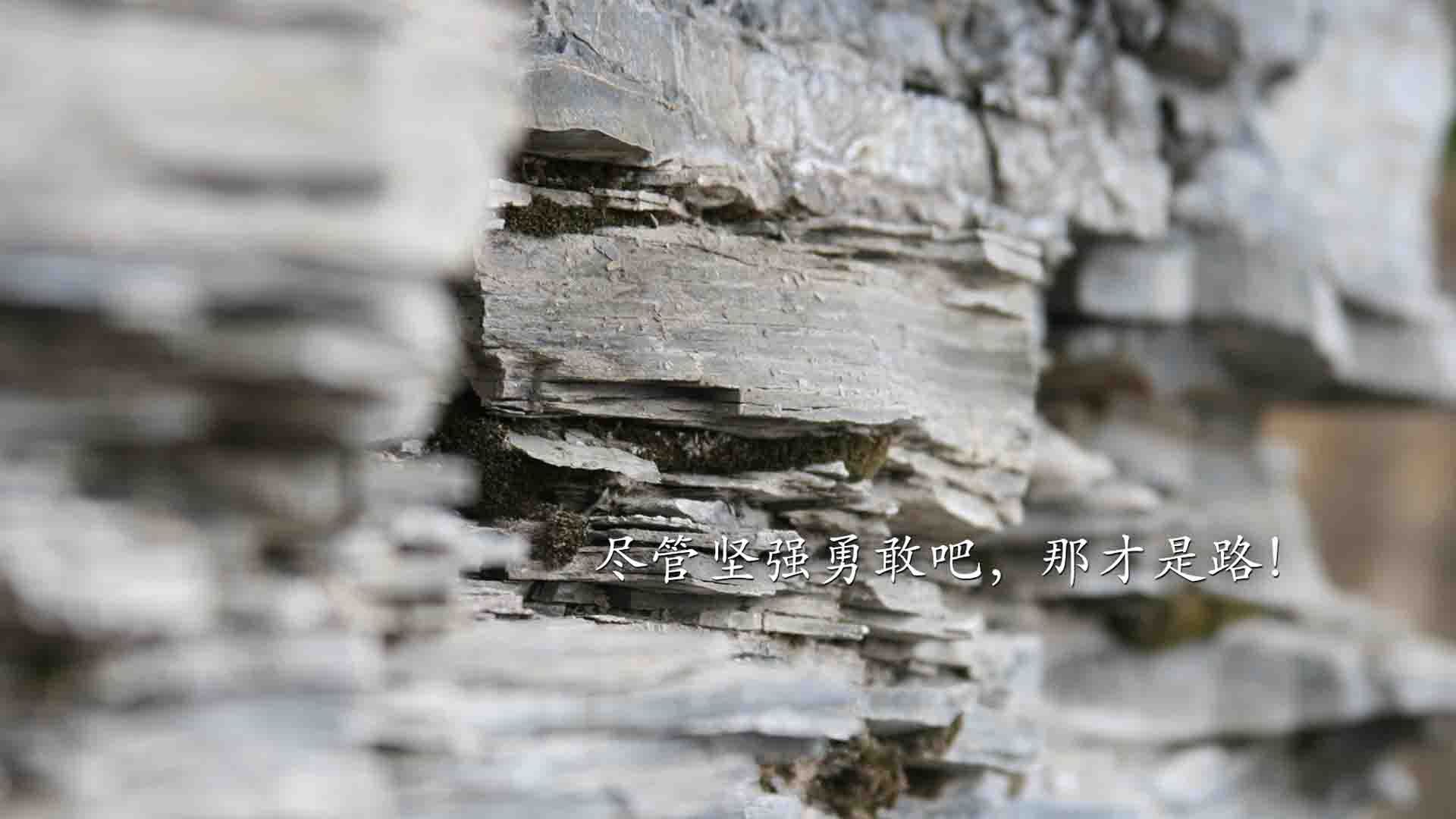 Jiuyou-现场氛围热烈：球迷欢呼不断，气氛火爆！，球队气氛