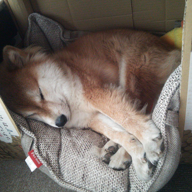 九游下载官网-足球文化节掀起全民足球热潮，推动运动普及，足球文化节征文美篇