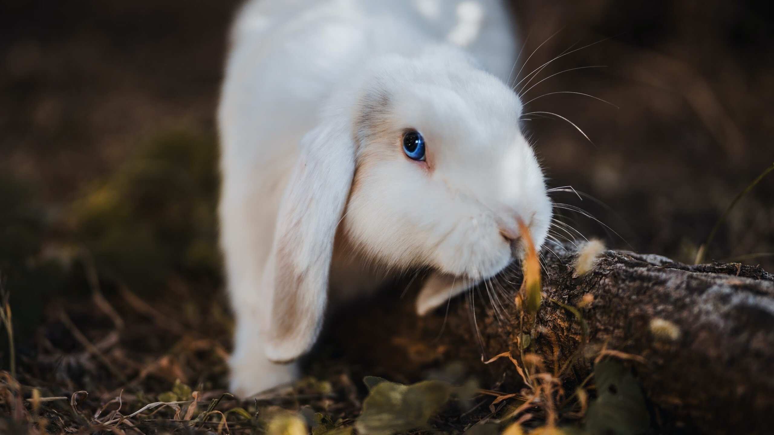 青少年足球竞赛“带盐”赛事不断丰富,培养实践能力,2021年有哪些青少年足球比赛