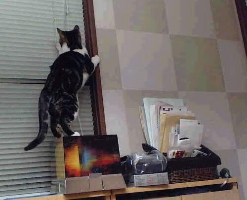 Gen.G战队训练营强化备战,战队训练基地