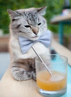 FaZe与拳头展开定制赛事合作谈判,拳头发布会