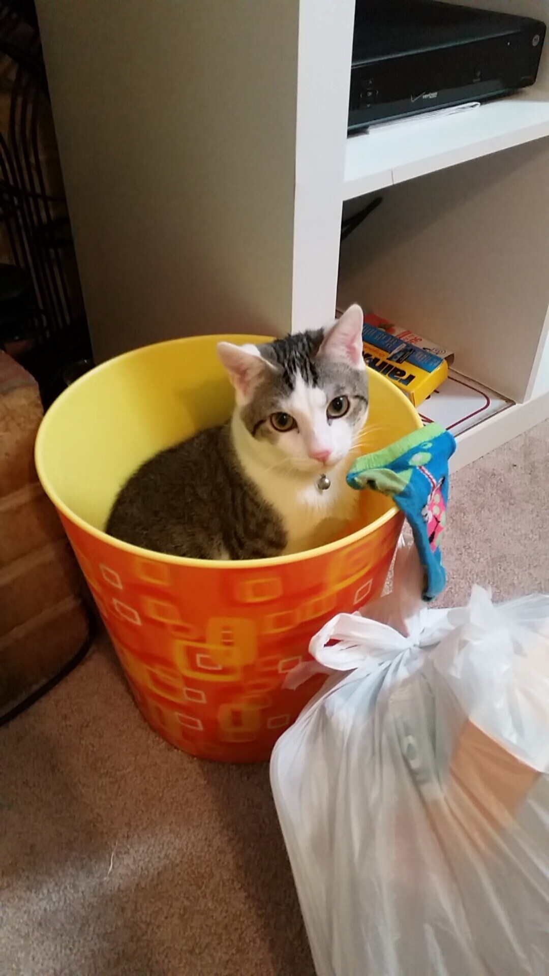 JIUYOU GAMING-FaZe与拳头展开定制赛事合作谈判，拳头官方致faker