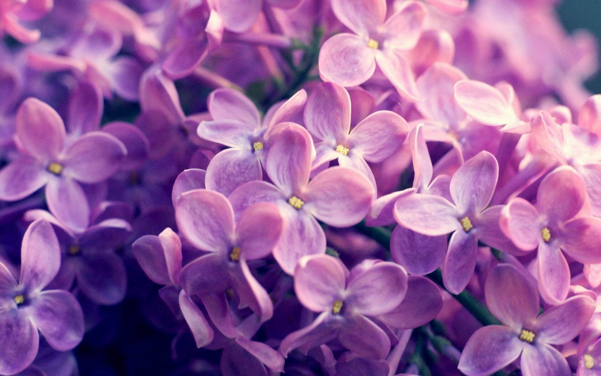 Jiuyou-G联赛球队新秀表现引关注，g联赛视频