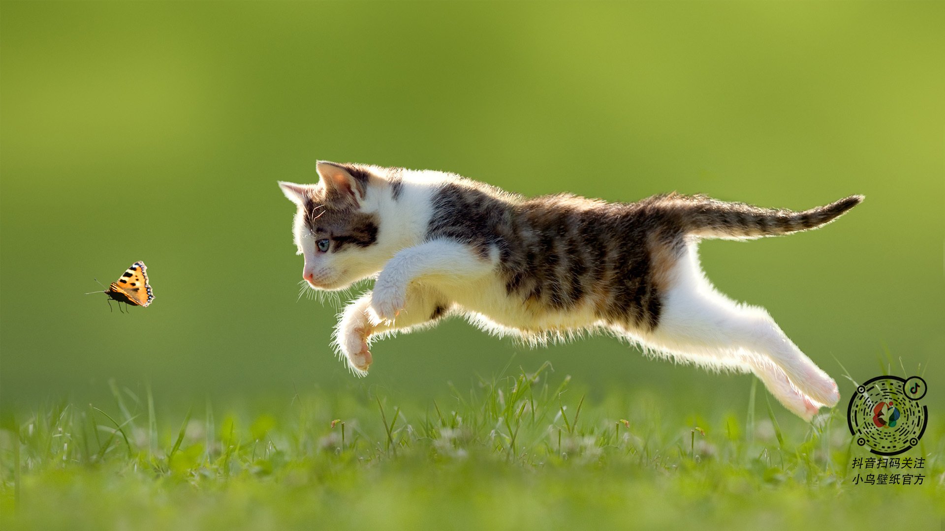 力拓园地的各路豪强,对决引发火花四溅!,力拓集团是做什么的